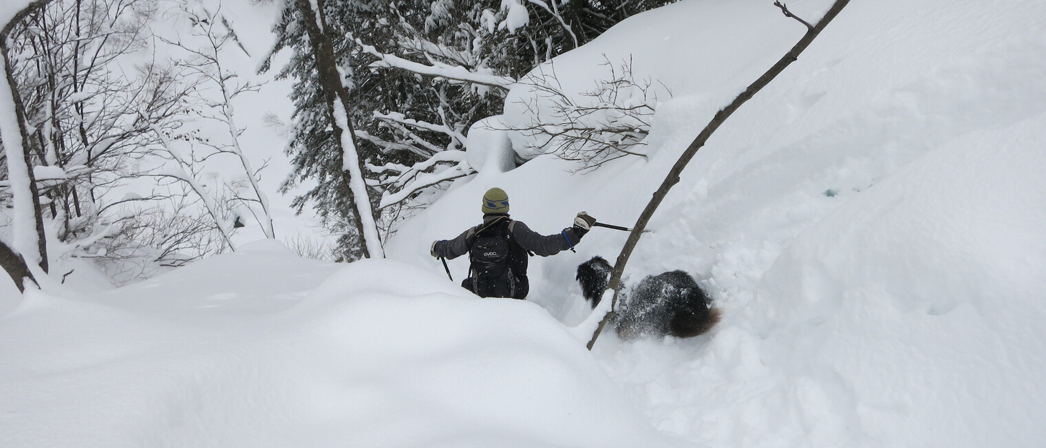 Schneeschuhtour mit Hund | © Kleinwalsertal Tourismus eGen | Fotograf: Antje Pabst Schneeschuhtour mit Hund | © Kleinwalsertal Tourismus eGen | Fotograf: Antje Pabst