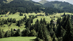 Sommer im Kleinwalsertal | © Kleinwalsertal Tourismus eGen Sommer im Kleinwalsertal | © Kleinwalsertal Tourismus eGen