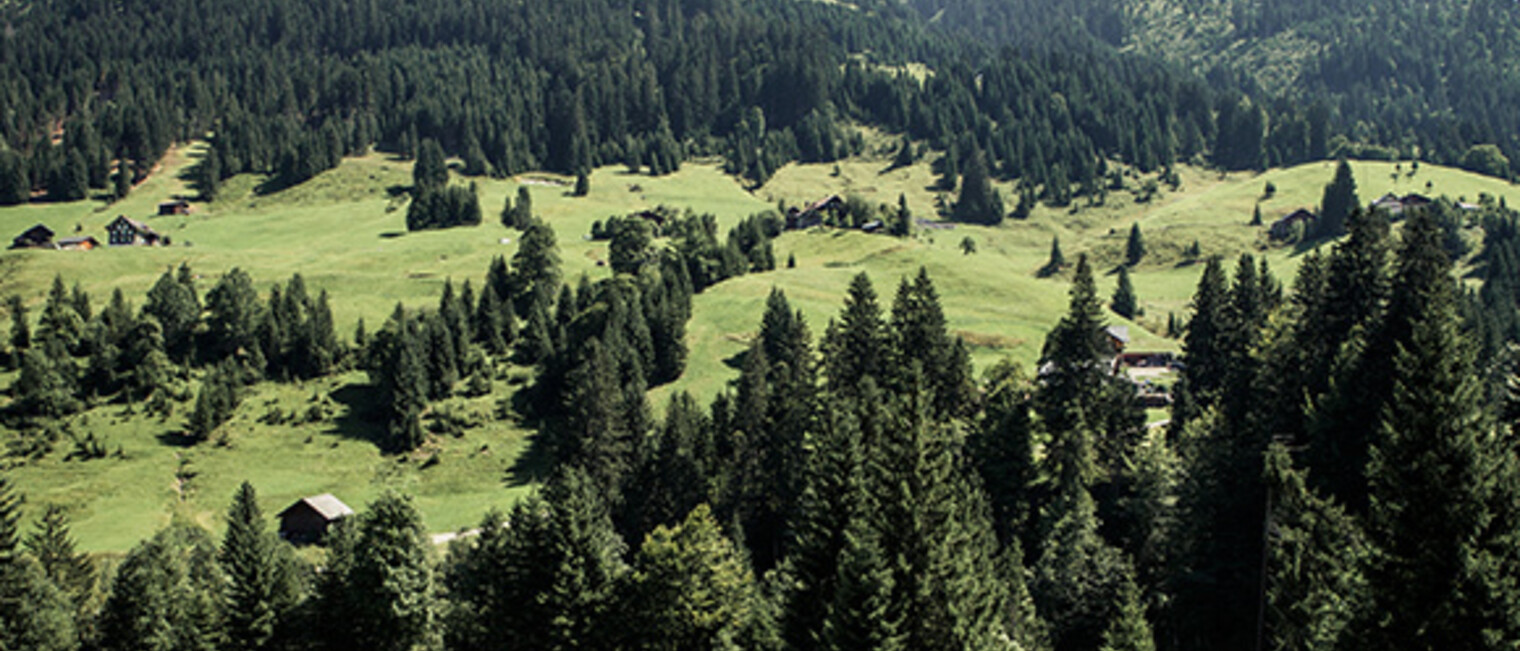 Sommer im Kleinwalsertal | © Kleinwalsertal Tourismus eGen Sommer im Kleinwalsertal | © Kleinwalsertal Tourismus eGen