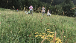Wandern mit Familie | © Kleinwalsertal Tourismus eGen Wandern mit Familie | © Kleinwalsertal Tourismus eGen