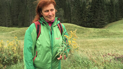 Kräuterfrau Lydia | © Kleinwalsertal Tourismus eGen Kräuterfrau Lydia | © Kleinwalsertal Tourismus eGen
