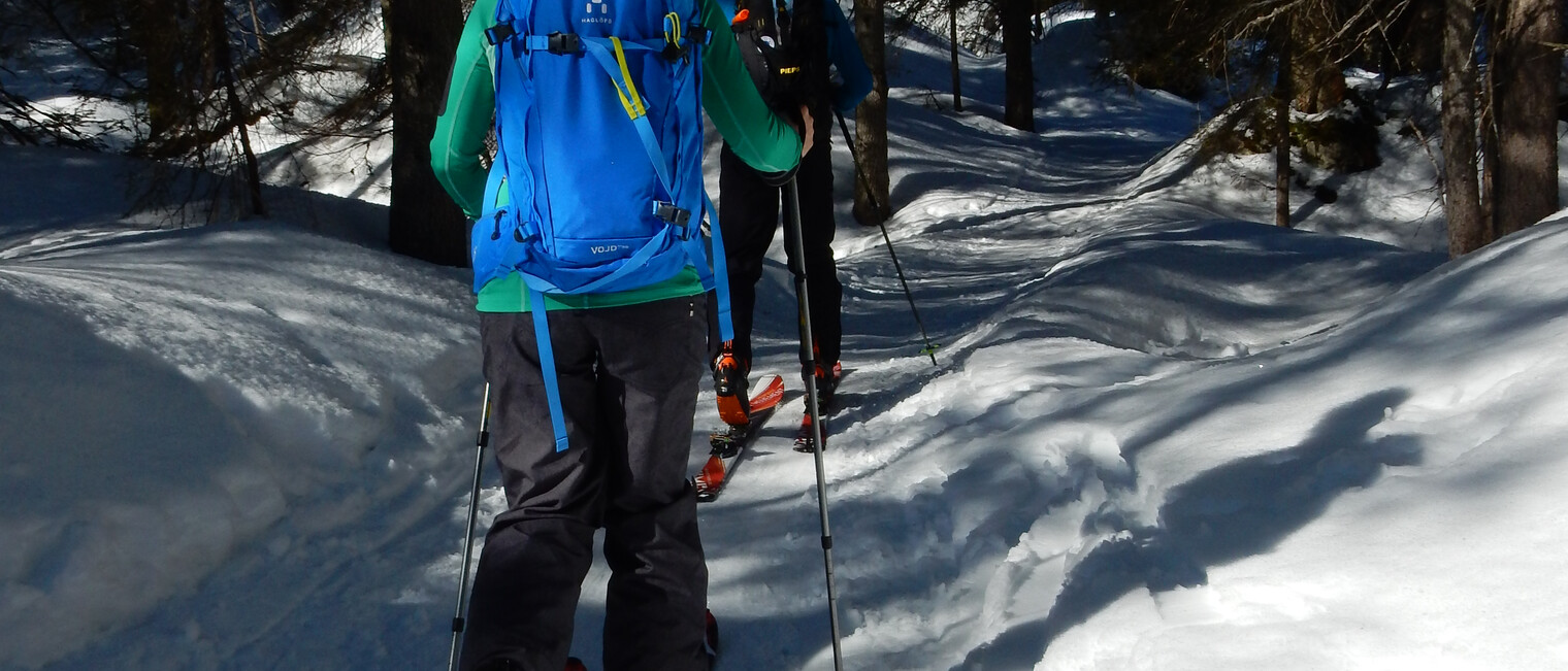 Skitour durch den Wald | © Kleinwalsertal Tourismus eGen