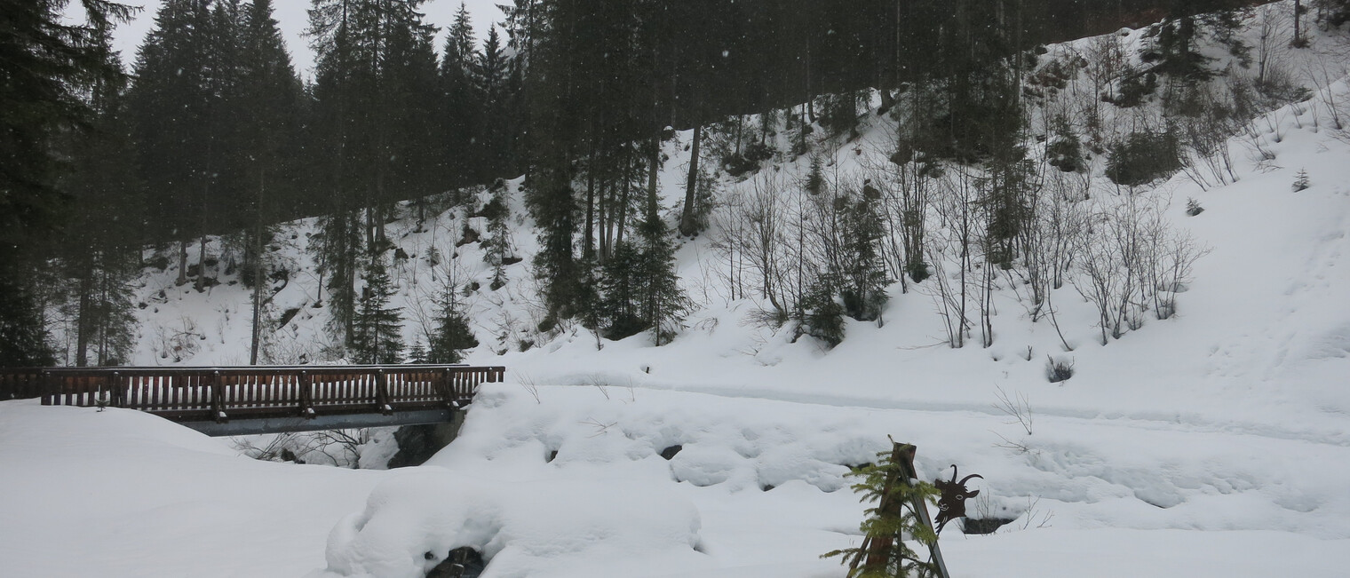 Ausblick bei der Genuss-Schneeschuhtour mit Herbert Edlingera | © Kleinwalsertal Tourismus eGen | Fotograf: Antje Pabst Ausblick bei der Genuss-Schneeschuhtour mit Herbert Edlingera | © Kleinwalsertal Tourismus eGen | Fotograf: Antje Pabst