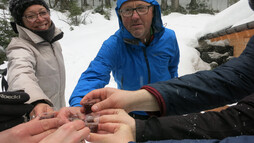 Genuss-Schneeschuhtour mit Herbert Edlingera | © Kleinwalsertal Tourismus eGen | Fotograf: Antje Pabst Genuss-Schneeschuhtour mit Herbert Edlingera | © Kleinwalsertal Tourismus eGen | Fotograf: Antje Pabst