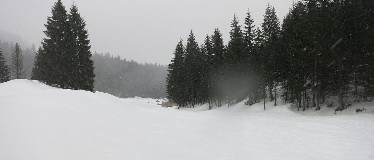 Ausblick bei der Genuss-Schneeschuhtour mit Herbert Edlingera | © Kleinwalsertal Tourismus eGen | Fotograf: Antje Pabst Ausblick bei der Genuss-Schneeschuhtour mit Herbert Edlingera | © Kleinwalsertal Tourismus eGen | Fotograf: Antje Pabst