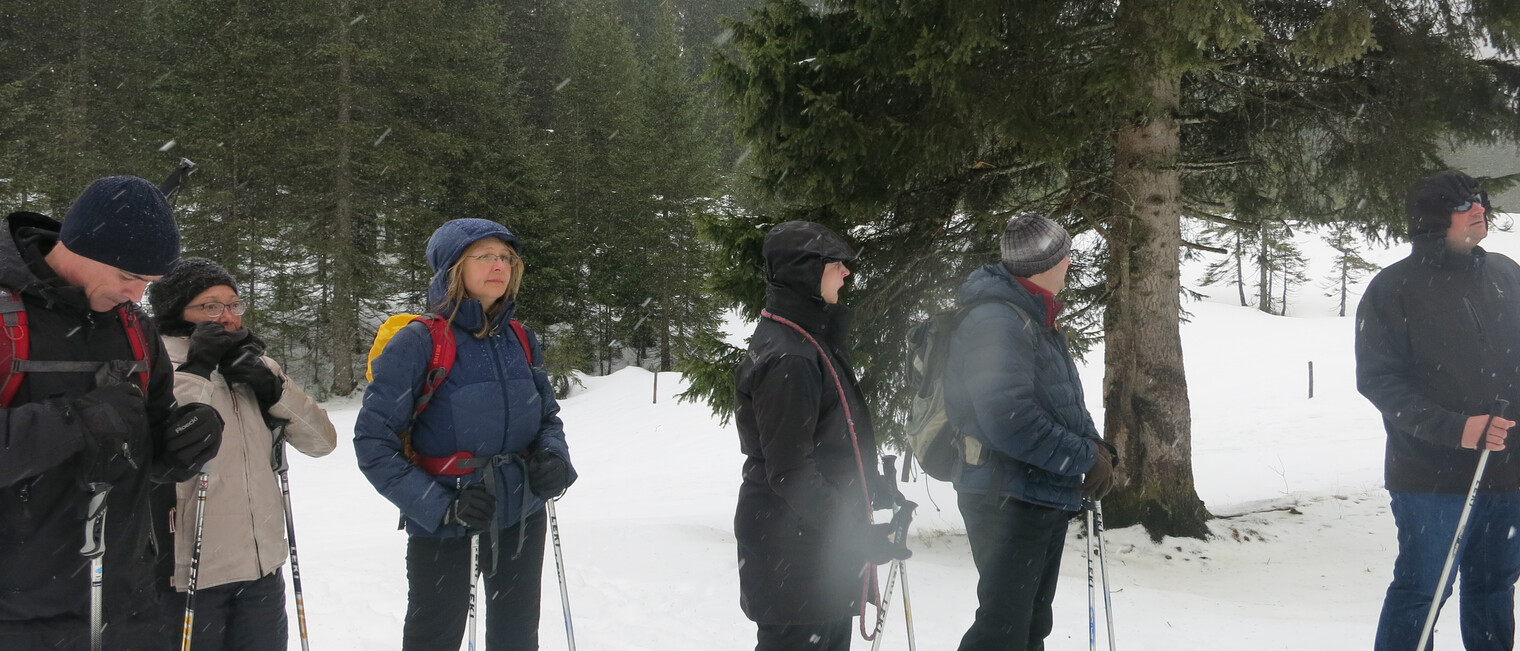 Genuss-Schneeschuhtour | © Kleinwalsertal Tourismus eGen | Fotograf: Antje Pabst Genuss-Schneeschuhtour | © Kleinwalsertal Tourismus eGen | Fotograf: Antje Pabst