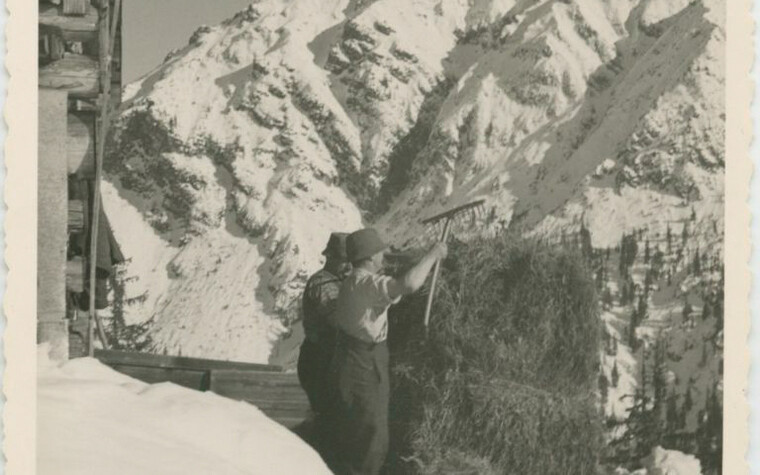 Heu im Winter | © Kleinwalsertal Tourismus eGen | Fotograf: Stefan Heim