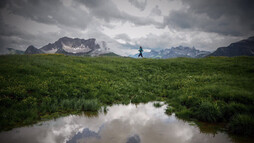 Trailrunning im Kleinwalsertal | © Kleinwalsertal Tourismus eGen | Fotograf: Dominik Berchtold Trailrunning im Kleinwalsertal | © Kleinwalsertal Tourismus eGen | Fotograf: Dominik Berchtold