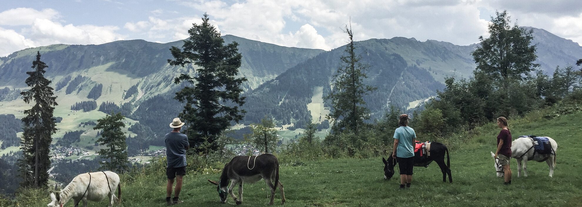 Eselwandern im Kleinwalsertal | © Kleinwalsertal Tourismus | Fotograf: Carolin Schratt Eselwandern im Kleinwalsertal | © Kleinwalsertal Tourismus | Fotograf: Carolin Schratt