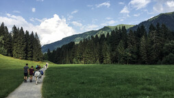 Eselwandern durch die Au/Wäldele | © Kleinwalsertal Tourismus | Fotograf: Carolin Schratt Eselwandern durch die Au/Wäldele | © Kleinwalsertal Tourismus | Fotograf: Carolin Schratt