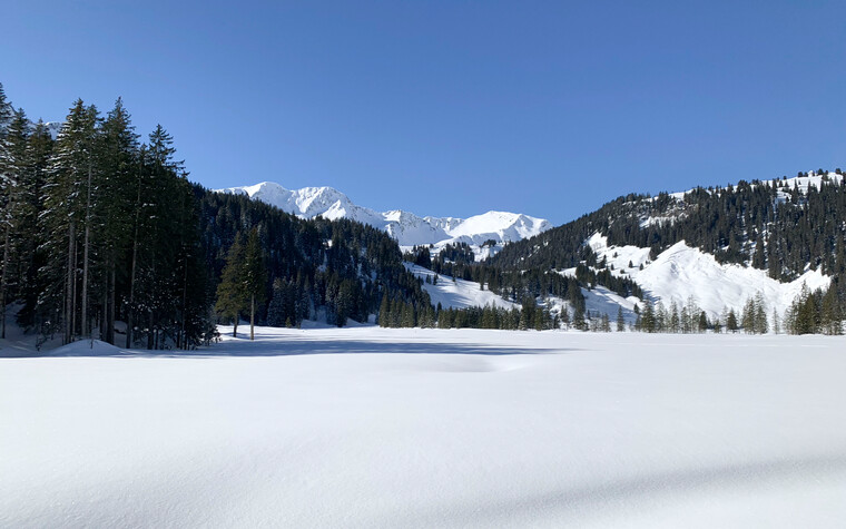 Schneeschuhtour Schwarzwassertal | © Kleinwalsertal Tourismus | Fotograf: Katharina Kleiter 