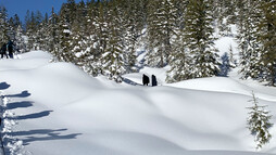 Schneeschuhtour Schwarzwassertal | © Kleinwalsertal Tourismus | Fotograf: Katharina Kleiter Schneeschuhtour Schwarzwassertal | © Kleinwalsertal Tourismus | Fotograf: Katharina Kleiter