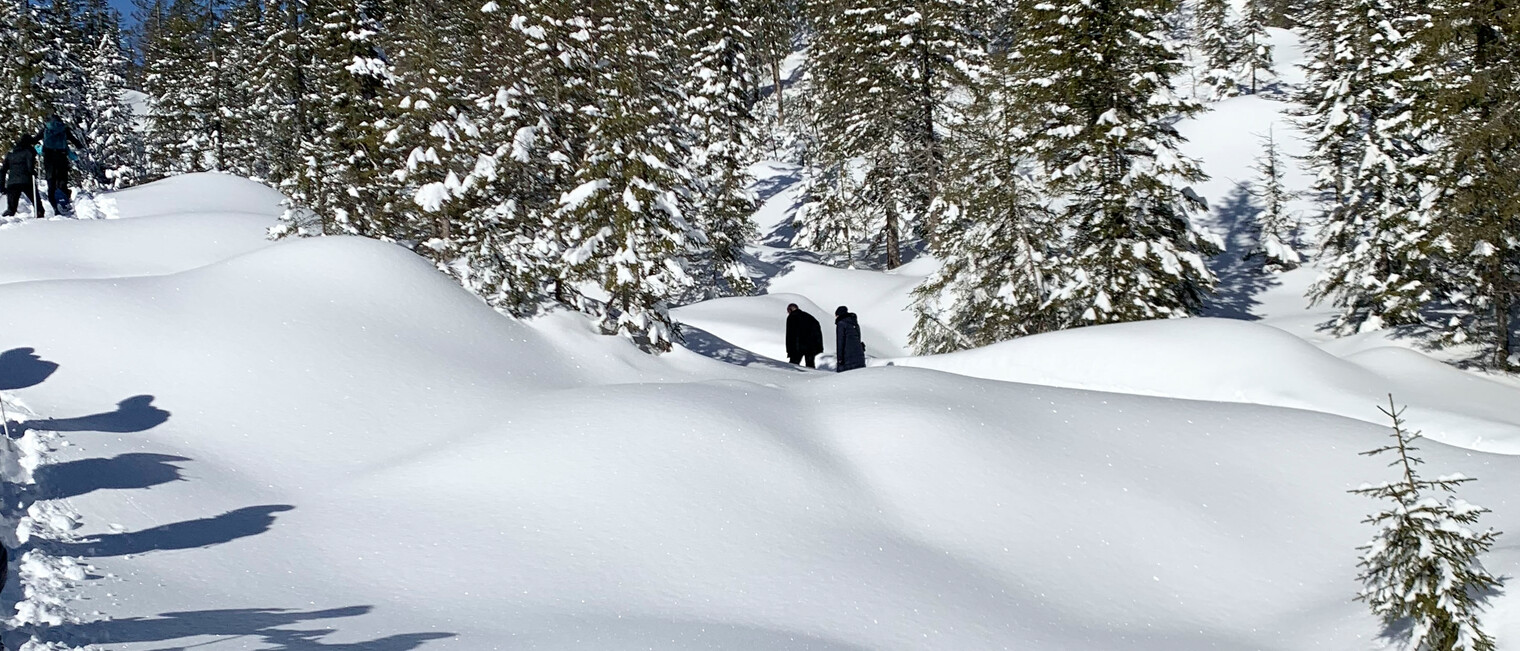 Schneeschuhtour Schwarzwassertal | © Kleinwalsertal Tourismus | Fotograf: Katharina Kleiter Schneeschuhtour Schwarzwassertal | © Kleinwalsertal Tourismus | Fotograf: Katharina Kleiter