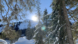 Schneeschuhtour Schwarzwassertal | © Kleinwalsertal Tourismus | Fotograf: Katharina Kleiter Schneeschuhtour Schwarzwassertal | © Kleinwalsertal Tourismus | Fotograf: Katharina Kleiter