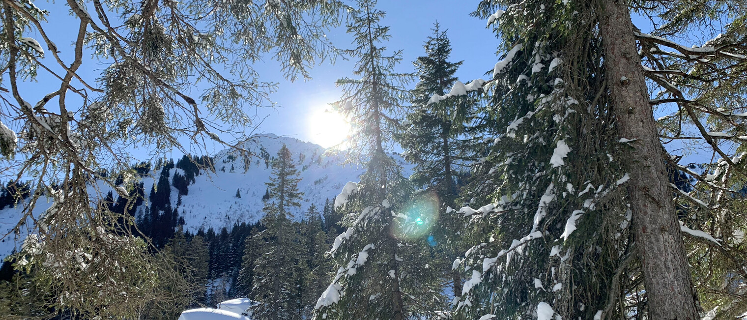 Schneeschuhtour Schwarzwassertal | © Kleinwalsertal Tourismus | Fotograf: Katharina Kleiter Schneeschuhtour Schwarzwassertal | © Kleinwalsertal Tourismus | Fotograf: Katharina Kleiter