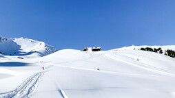 Schneeschuhtour Schwarzwassertal | © Kleinwalsertal Tourismus | Fotograf: Katharina Kleiter Schneeschuhtour Schwarzwassertal | © Kleinwalsertal Tourismus | Fotograf: Katharina Kleiter