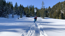 Schneeschuhtour Schwarzwassertal | © Kleinwalsertal Tourismus | Fotograf: Katharina Kleiter Schneeschuhtour Schwarzwassertal | © Kleinwalsertal Tourismus | Fotograf: Katharina Kleiter