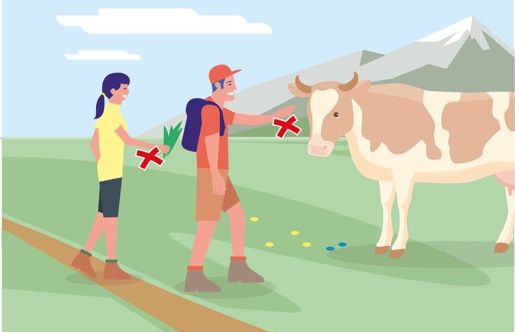 Sichere Almen - Regel 1 | © Bundesministerium für Nachhaltigkeit und Tourismus 