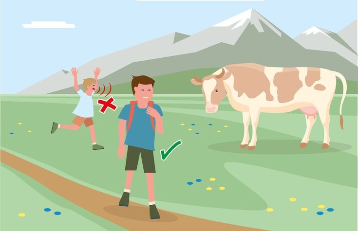 Sichere Almen - Regel 2 | © Bundesministerium für Nachhaltigkeit und Tourismus 