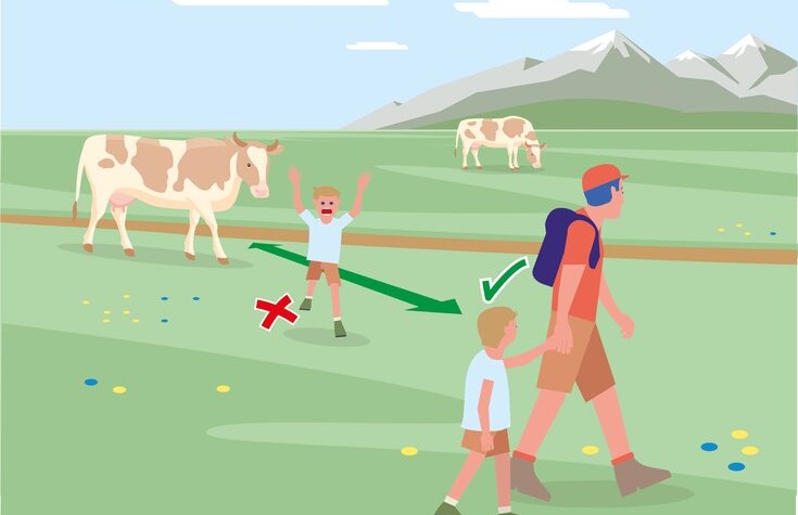 Sichere Almen - Regel 7 | © Bundesministerium für Nachhaltigkeit und Tourismus