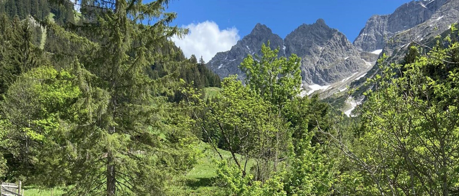 Bärgunttal | © Kleinwalsertal Tourismus eGen