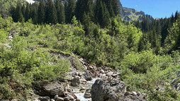 Bärgunttal | © Kleinwalsertal Tourismus eGen
