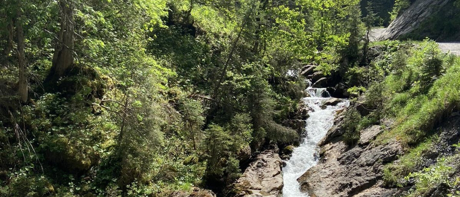 Bärgunttal | © Kleinwalsertal Tourismus eGen
