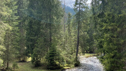 Von der Auenhütte zur Melköde | © Kleinwalsertal Tourismus eGen