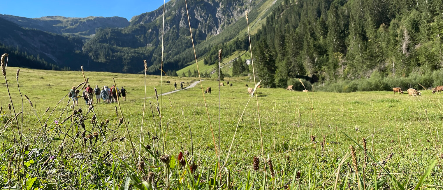 Wanderung durchs Gemsteltal | © Kleinwalsertal Tourismus Wanderung durchs Gemsteltal | © Kleinwalsertal Tourismus