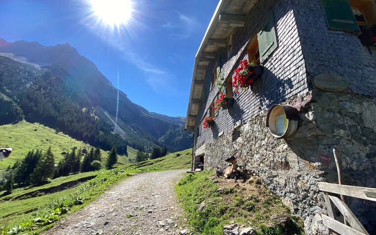 Bernhard's Gemstelalp
