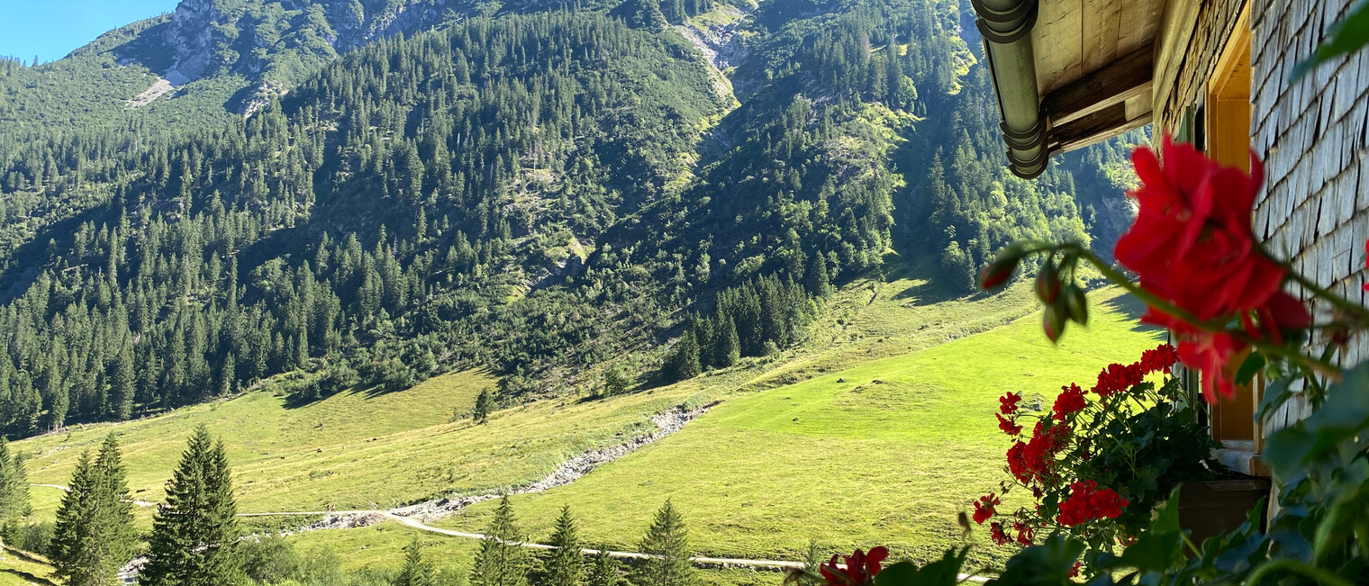 Blick von Bernhard's Gemstelalp | © Kleinwalsertal Tourismus Blick von Bernhard's Gemstelalp | © Kleinwalsertal Tourismus