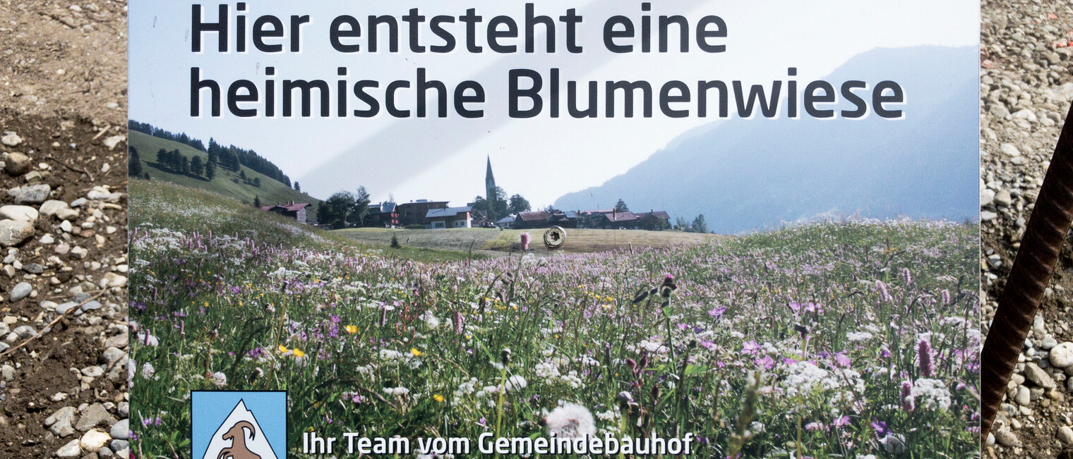 Blühgarten in Hirschegg | © Kleinwalsertal Tourismus eGen Blühgarten in Hirschegg | © Kleinwalsertal Tourismus eGen