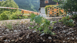 Blühgarten Hirschegg | © Kleinwalsertal Tourismus eGen Blühgarten Hirschegg | © Kleinwalsertal Tourismus eGen
