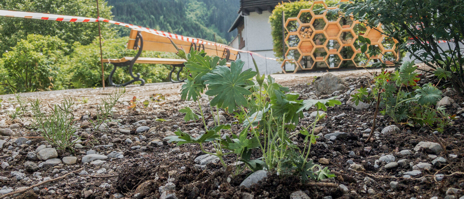 Blühgarten Hirschegg | © Kleinwalsertal Tourismus eGen Blühgarten Hirschegg | © Kleinwalsertal Tourismus eGen