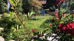 Blühgarten | © Kleinwalsertal Tourismus eGen | Fotograf: Louisa Hieke Blühgarten | © Kleinwalsertal Tourismus eGen | Fotograf: Louisa Hieke