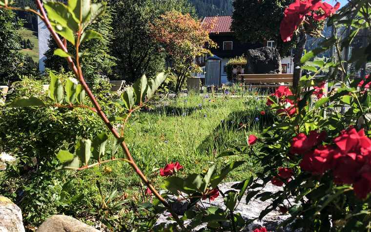 Blühgarten | © Kleinwalsertal Tourismus eGen | Fotograf: Louisa Hieke