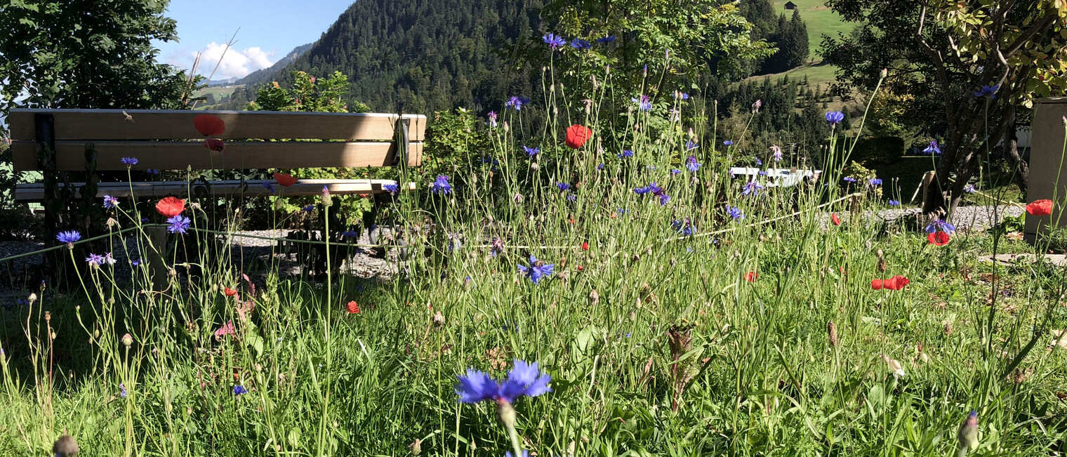 Blühgarten im September 2018 | © Kleinwalsertal Tourismus eGen | Fotograf: Louisa Hieke Blühgarten im September 2018 | © Kleinwalsertal Tourismus eGen | Fotograf: Louisa Hieke