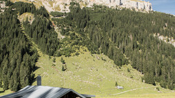 Melköde Ifen im Hintergrund | © Kleinwalsertal Tourismus eGen | Fotograf: Andre Tappe Melköde Ifen im Hintergrund | © Kleinwalsertal Tourismus eGen | Fotograf: Andre Tappe