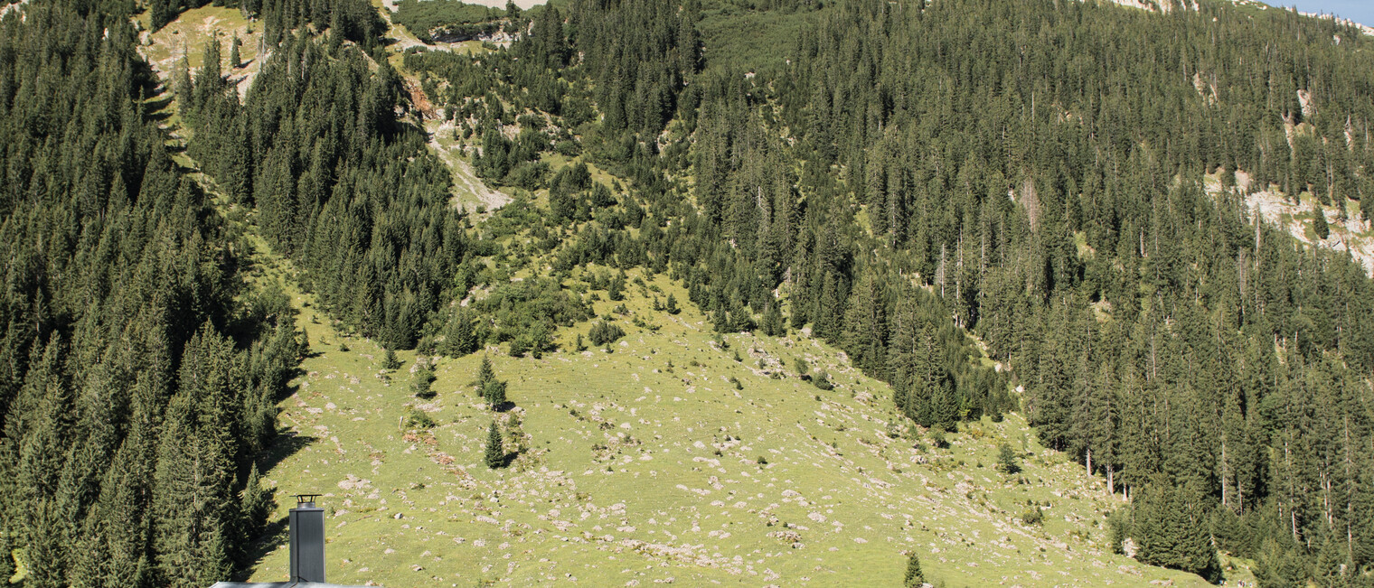 Melköde Ifen im Hintergrund | © Kleinwalsertal Tourismus eGen | Fotograf: Andre Tappe Melköde Ifen im Hintergrund | © Kleinwalsertal Tourismus eGen | Fotograf: Andre Tappe