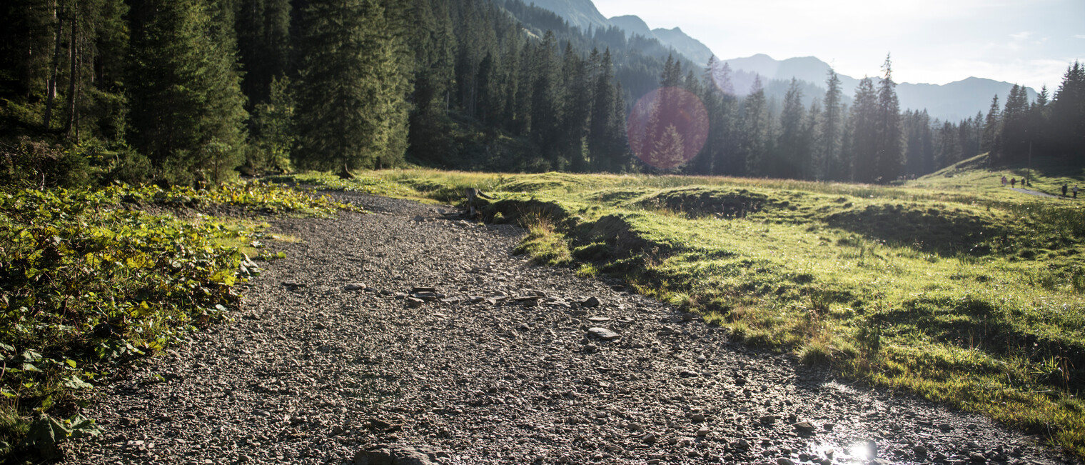 Schwarzwassertal im Herbst | © Kleinwalsertal Tourismus eGen | Fotograf: Andre Tappe Schwarzwassertal im Herbst | © Kleinwalsertal Tourismus eGen | Fotograf: Andre Tappe