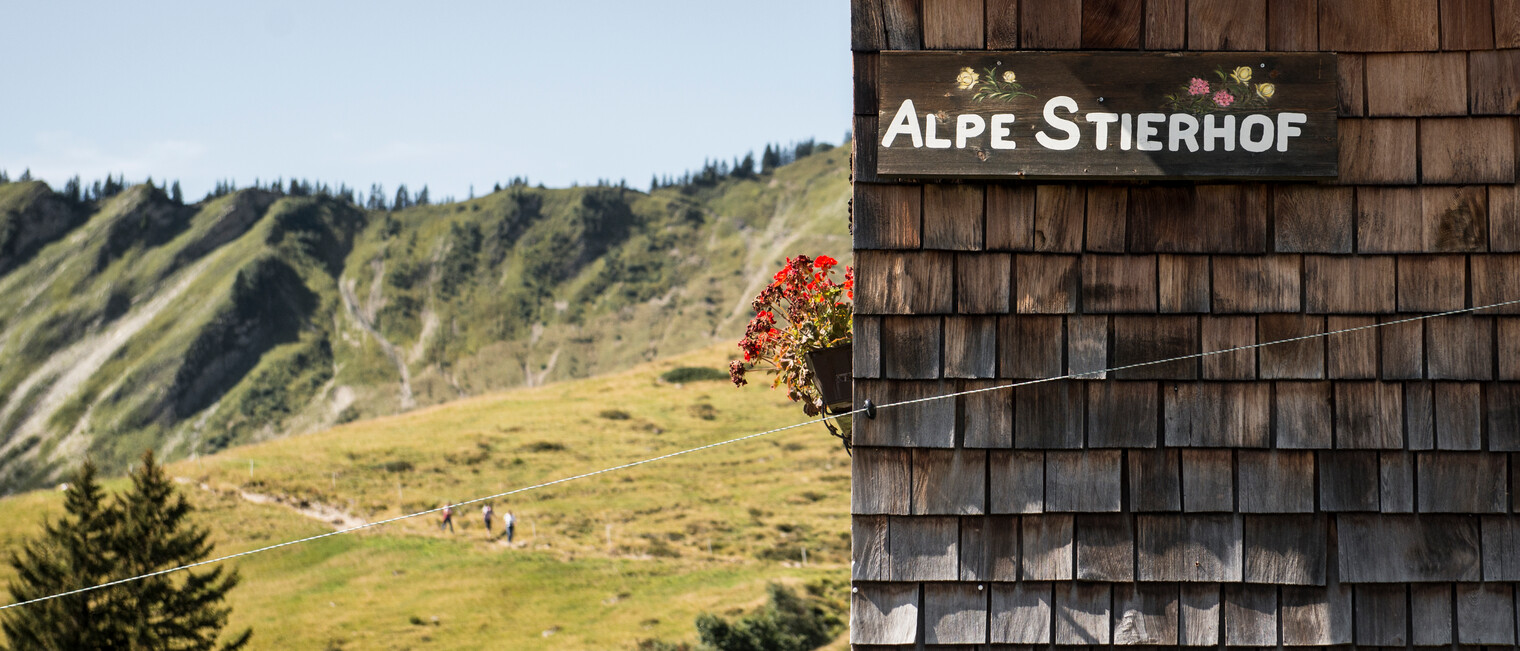 Alpe Stierhof | © Kleinwalsertal Tourismus eGen | Fotograf: Andre Tappe Alpe Stierhof | © Kleinwalsertal Tourismus eGen | Fotograf: Andre Tappe
