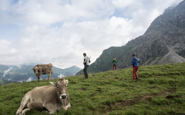 Junghirten auf der Bärgunt | © Kleinwalsertal Tourismus eGen | Fotograf: Andre Tappe