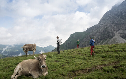 Junghirten auf der Bärgunt | © Kleinwalsertal Tourismus eGen | Fotograf: Andre Tappe