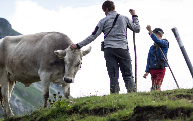 Junghirten auf der Bärgunt | © Kleinwalsertal Tourismus eGen | Fotograf: Andre Tappe