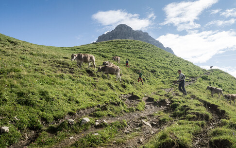 Junghirten auf der Bärgunt | © Kleinwalsertal Tourismus eGen | Fotograf: Andre Tappe