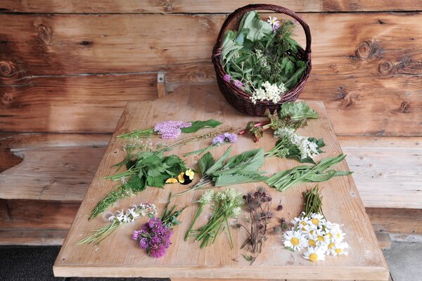 Blumen und Bergkräuter | © Kleinwalsertal Tourismus eGen | Fotograf: Christoffer Leitner