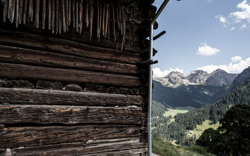 Blick auf die Schafalpköpfe vom Zaferna | © Kleinwalsertal Tourismus eGen | Fotograf: Dominik Berchtold