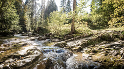 Am Schwarzwasserbach | © Kleinwalsertal Tourismus eGen | Fotograf: Dominik Berchtold wandern am Schwarzwasserbach im Kleinwalsertal | © Kleinwalsertal Tourismus eGen | Fotograf: Dominik Berchtold