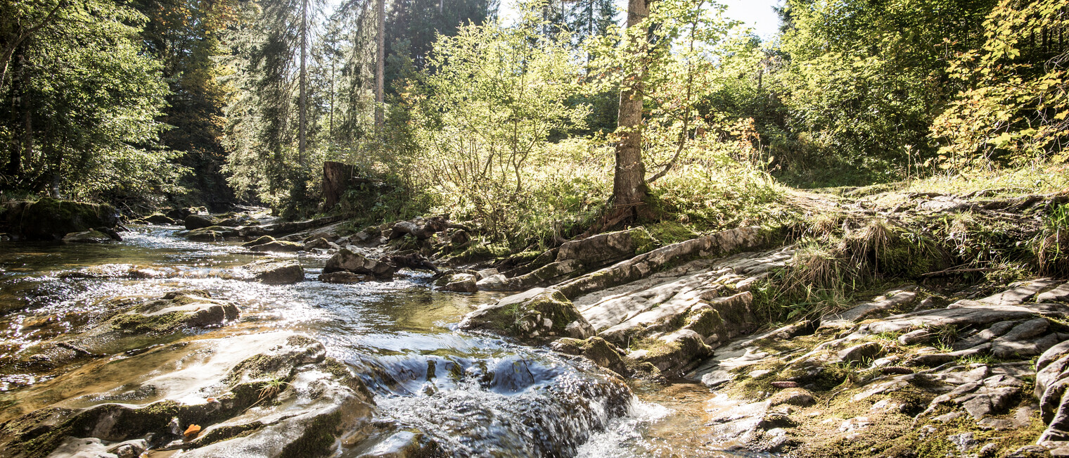 Am Schwarzwasserbach | © Kleinwalsertal Tourismus eGen | Fotograf: Dominik Berchtold wandern am Schwarzwasserbach im Kleinwalsertal | © Kleinwalsertal Tourismus eGen | Fotograf: Dominik Berchtold