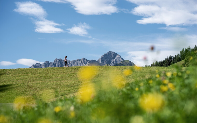 Erholung am Rohrweg | ©  Kleinwalsertal Tourismus eGen | Fotograf: Dominik Berchtold